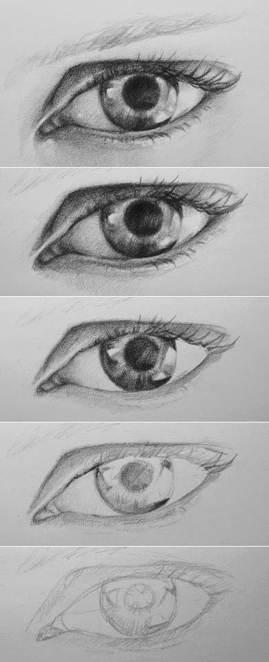 How To Draw An Eye in Pencil Step By Step - Learn To Draw And Paint