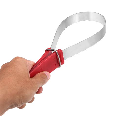 Why equidase is the most surprising tool for equine care 2