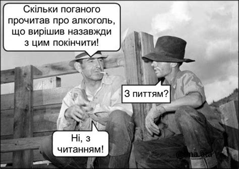 Анекдот про алкоголь | Funny memes, Funny pictures, Best funny pictures