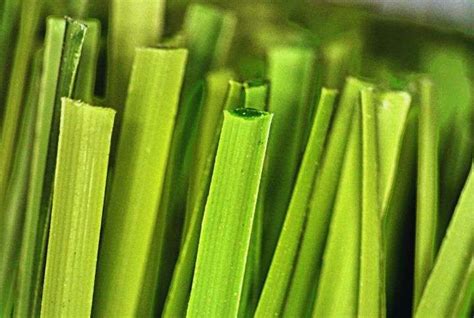 Yardex | Global Sports Turf Manufacturer And Supplier