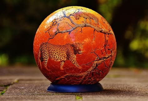 Puzzle Ball Leopards Wild Animals - Free photo on Pixabay