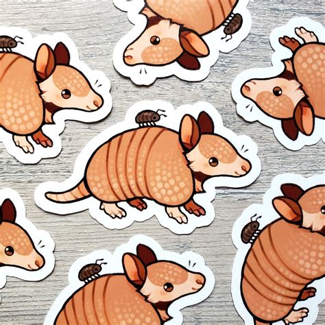 Armadillo Shell for sale | Only 4 left at -65%