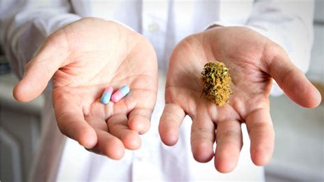 New Study Counters Findings That Medical Marijuana Can Manage Chronic ...