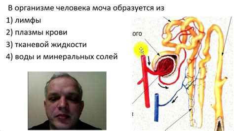 Видео-объяснение для Биоробота - YouTube