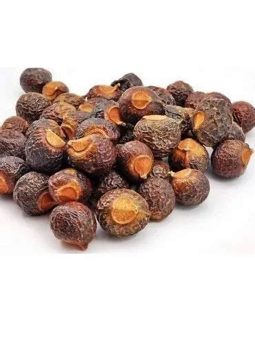 ritha fruit  kg ritha  bareilly id