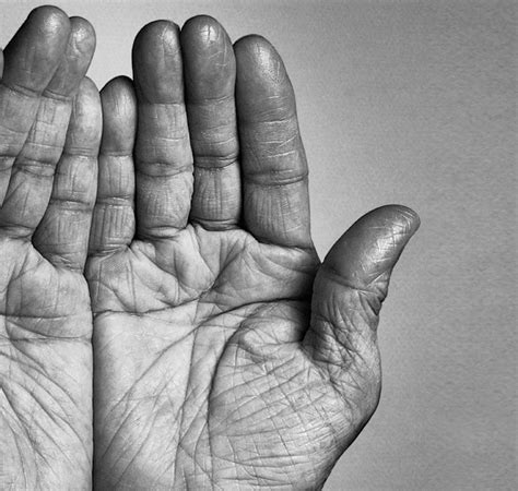 Promemoria | Promemoria Universe
