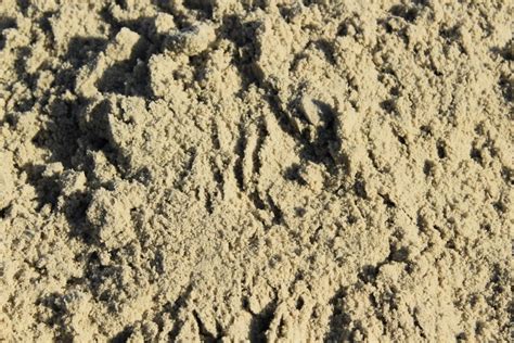 A Zand - Schaafsma