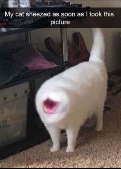 OMG Pictures (25 pics)
