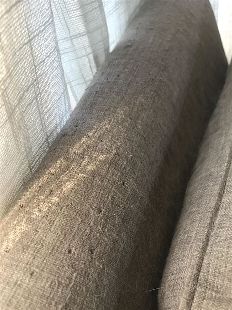 I thought my cat was ok until I Realized she did this to our nice couch