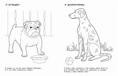 Разукрашки Домашние Питомцы