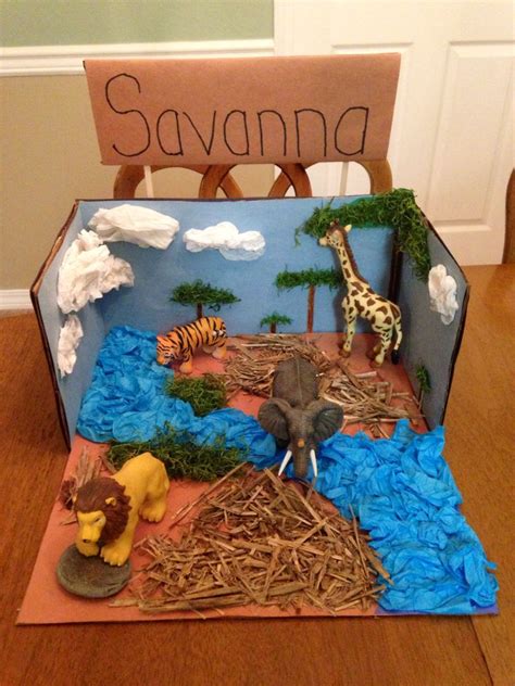 discover  intricate ecosystem   savanna biome educational