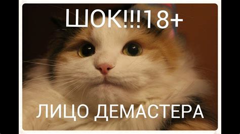 ЛИЦО ДЕМАСТЕРА ( Demaster59ru ) - YouTube