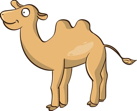 Download Camel, The Mehari, Nar. Royalty-Free Vector Graphic - Pixabay