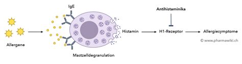 PharmaWiki - Chlorphenoxamin