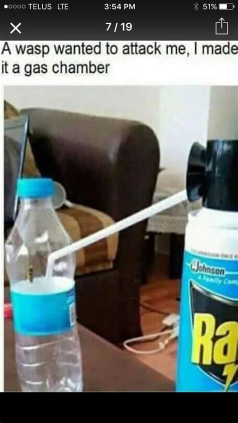 Memz | Dank Memes Amino