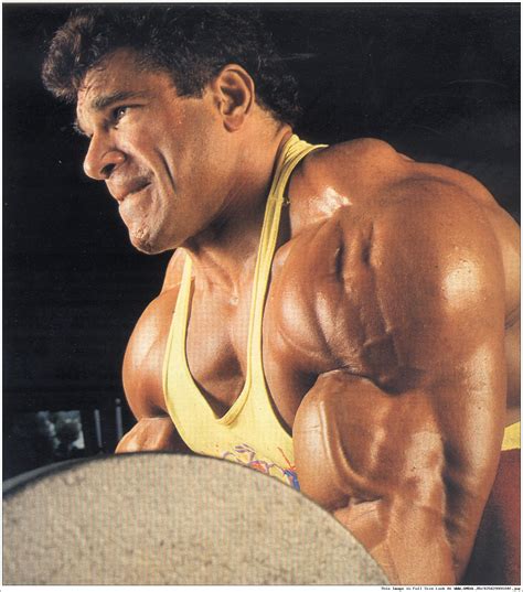 Лу Ферриньо (Lou Ferrigno), фотографии, биография, соревнования ...