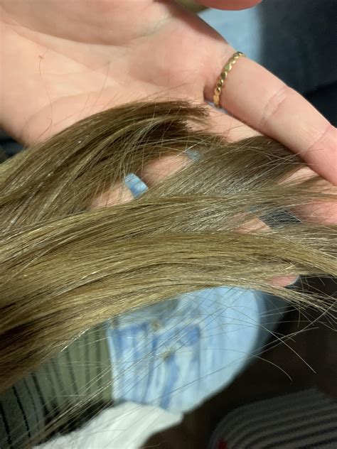 How to get rid of greenish tint in hair : r/femalehairadvice