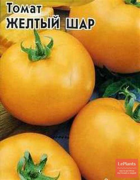 Томат 'Желтый шар' — описание сорта, характеристики | на LePlants.ru