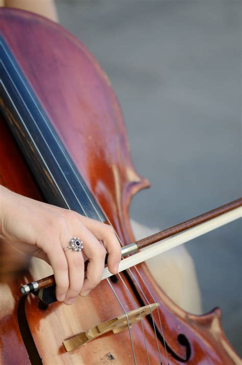 Instrumentos De Cuerda Musica Clasica