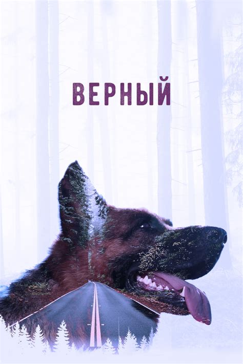 Верный (2016) смотреть онлайн или скачать фильм через торрент бесплатно ...