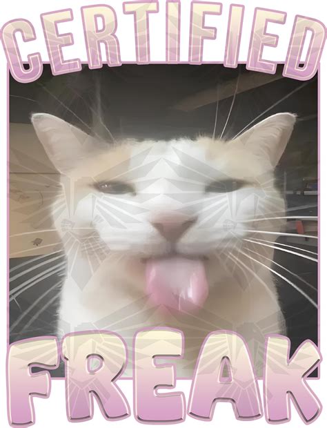 Freaky Cat Memes