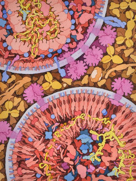 david  goodsellmolecules biology art dna art science illustration