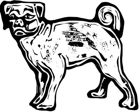 Pug Dog Free Stock Photo - Public Domain Pictures