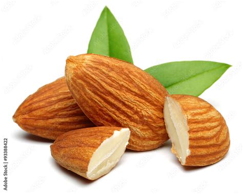 Almond group Stock Photo | Adobe Stock