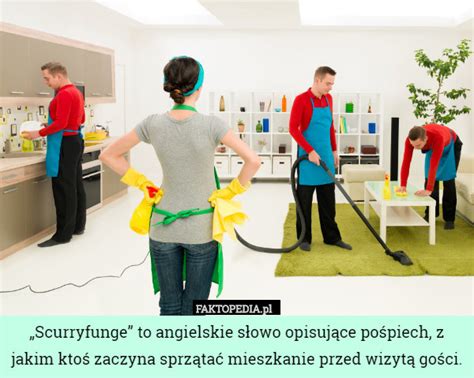 Faktopedia.pl