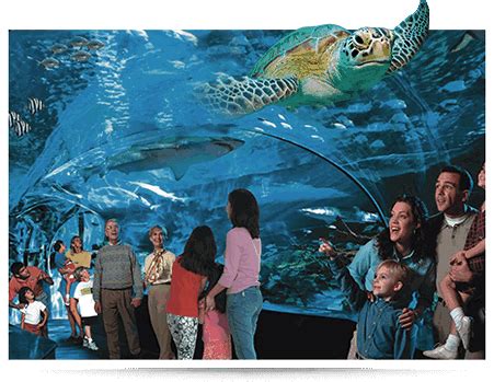 $139 - 3 Nights - Ripley's Aquarium Tickets w/Hotel in Gatlinburg