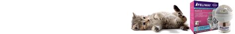 Feliway MultiCat Diffuser / Feliway / Feliway