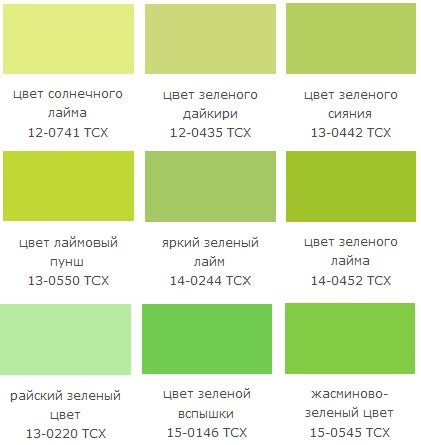Салатовый цвет и сочетание с ним | LOOKCOLOR