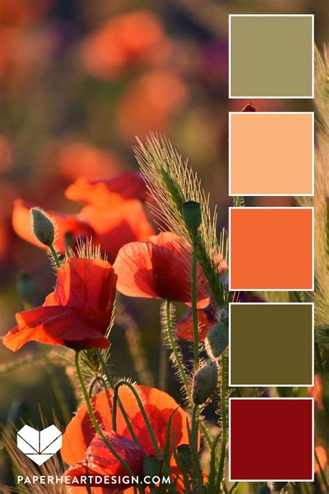 Color Schemes Colour Palettes, Color Palette Design, Colour Pallette ...