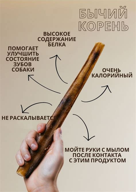 Статьи сообщества "Мон-Мон" Натуральные лакомства для собак. | ВКонтакте