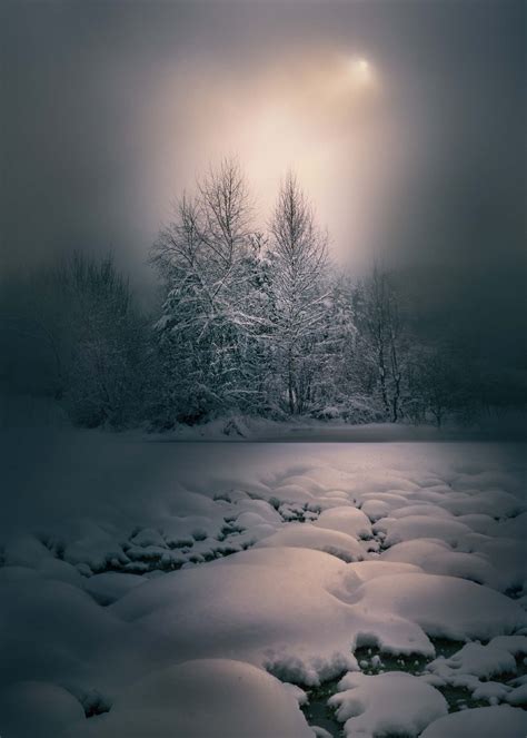 Magical photos show the enchantment of forests | World Photography