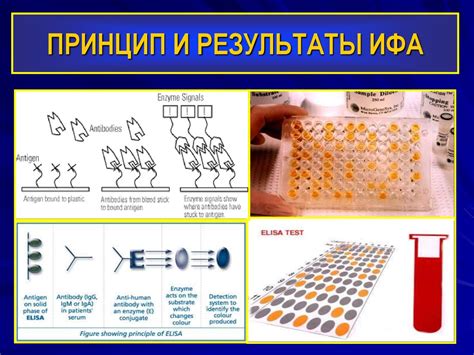 Тестирование на ВИЧ и диагностика ВИЧ-инфекции - online presentation