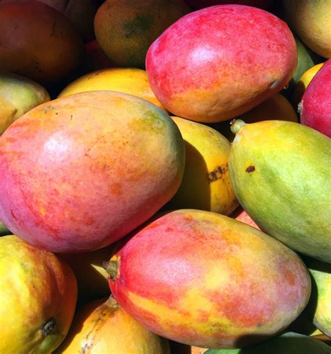 La importancia de conocer las propiedades y los beneficios del mango