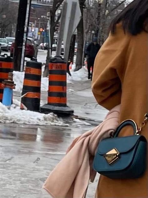 Help me find this bag! : r/findfashion