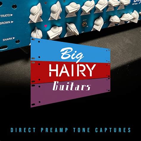 Ik Multimedia Big Hairy Guitars BOGGY Bogner Fish Preamp