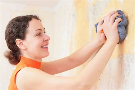 wall decals storables