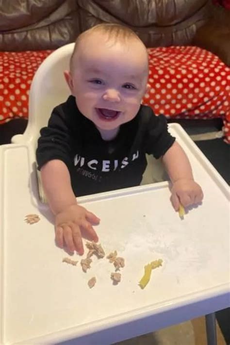 Toddler rushed to hospital with pneumonia after living in mouldy ...