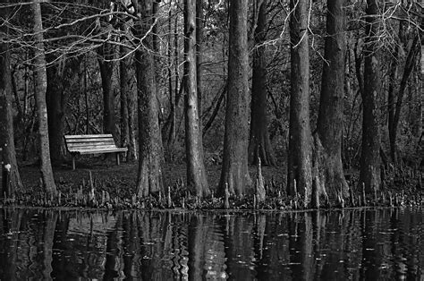 I don't shoot analog anymore but here is an old shot I still love. No