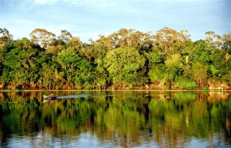 The Pirahã language - Laura Domine