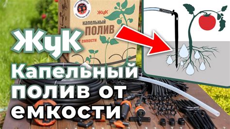Капельный полив «Жук» от емкости. Комплектация, монтаж - YouTube
