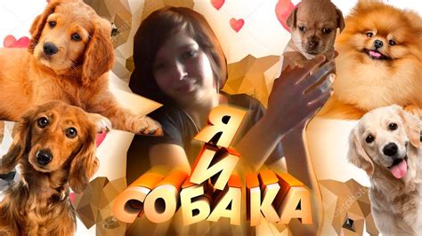 Я И СОБАКА - YouTube