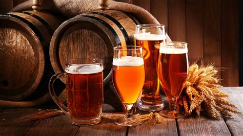 What goes into beer | MEL Chemistry