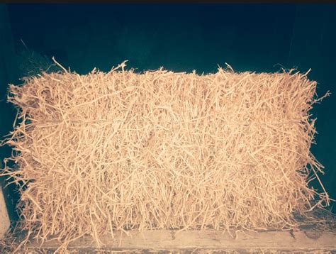 Продам тюки соломы, купить тюки соломы, Запорожская обл — Agro-Ukraine