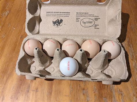 ich🥚🛋️iel : r/ich_iel