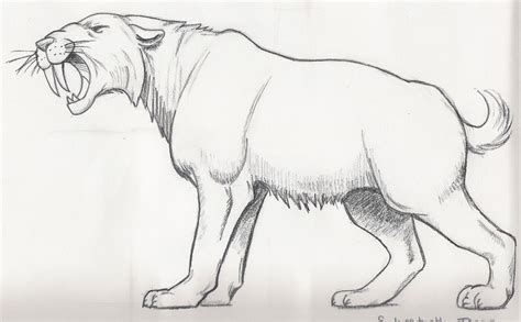 Saber Tooth Tiger Coloring Page - Coloring Home