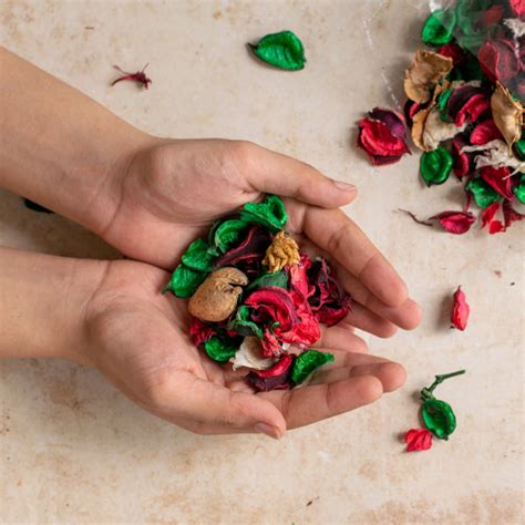 Bathroom Potpourri Online - Premium Pot Pourri | Nestasia